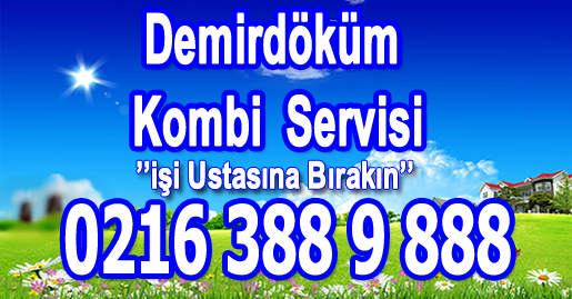 Maltepe Demirdöküm Kombi Servisi